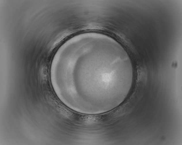 X0000114641266200911101250