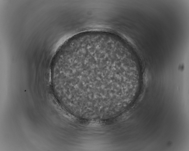 X0000114641267200911101250
