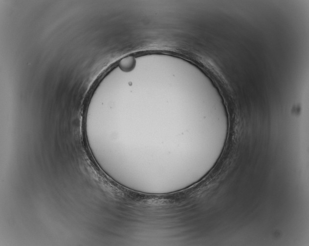 X0000114641268200911101250