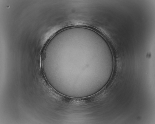 X0000114641269200911101250