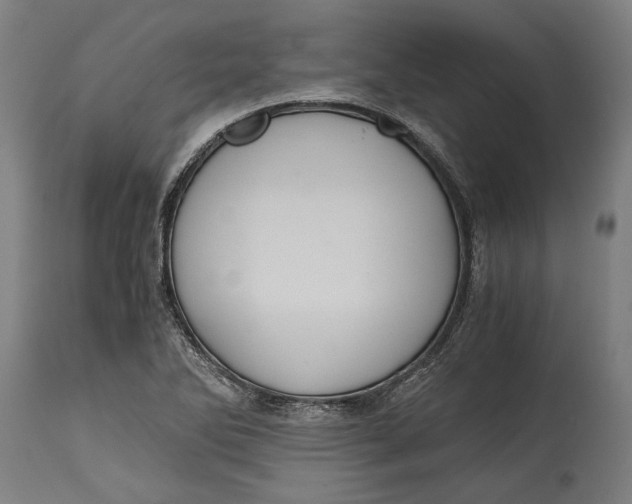 X0000114641270200911101250