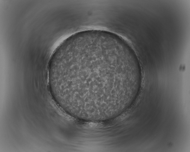 X0000114641271200911101250