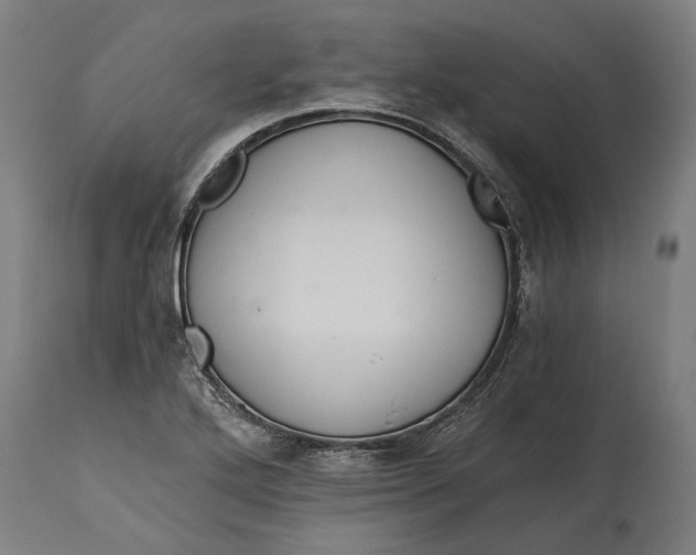 X0000114641272200911101250
