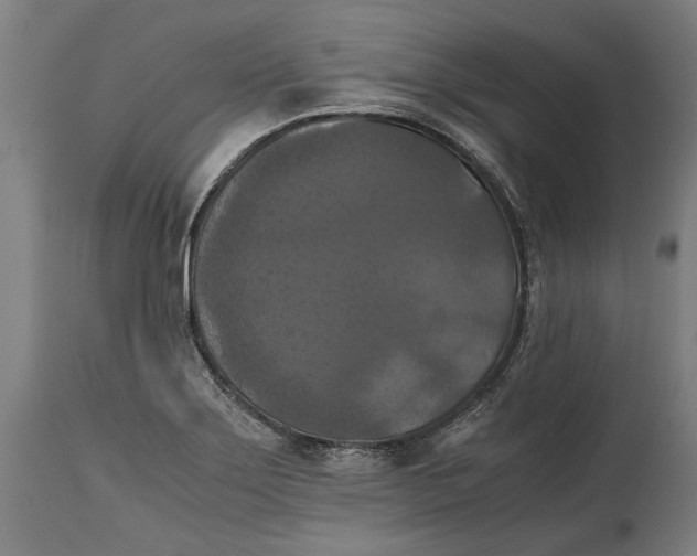 X0000114641275200911101250