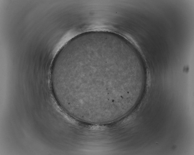 X0000114641277200911101250