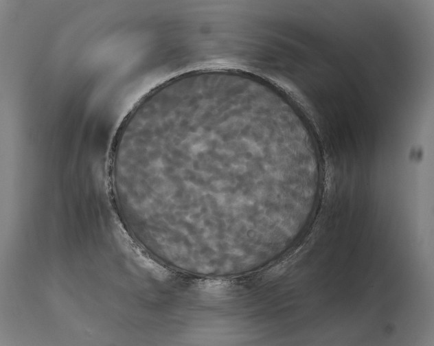 X0000114641278200911101250