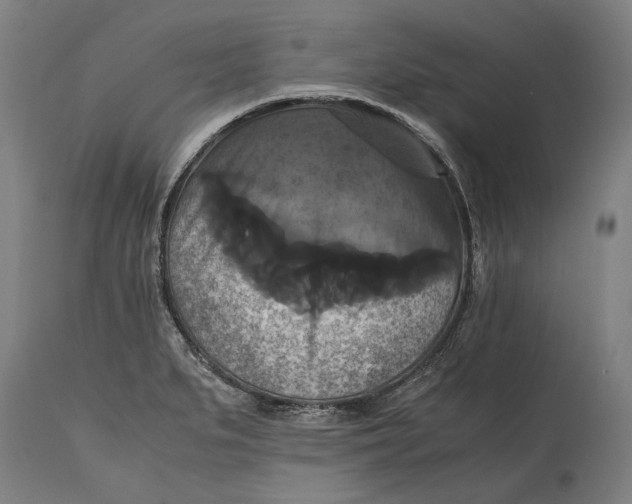 X0000114641279200911101250