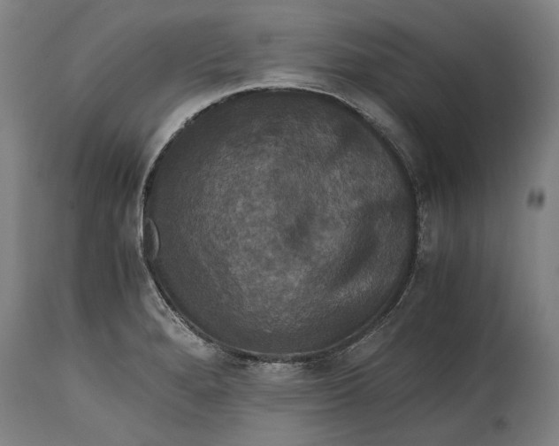 X0000114641280200911101250