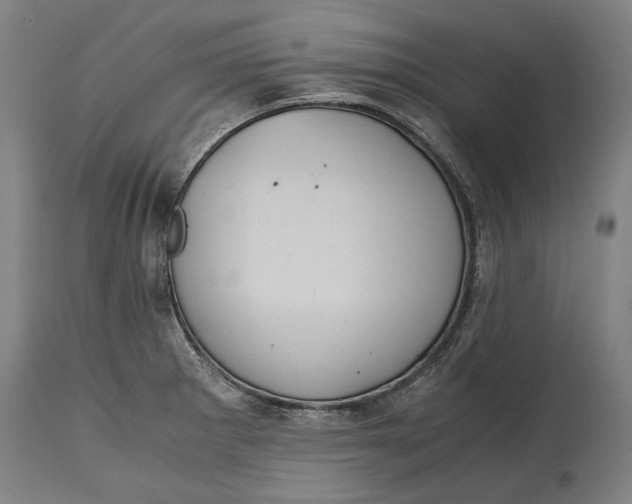 X0000114641281200911101250