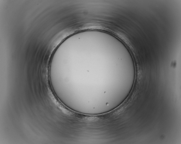 X0000114641282200911101250