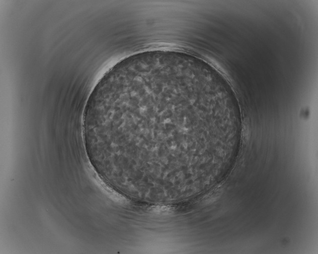 X0000114641283200911101250