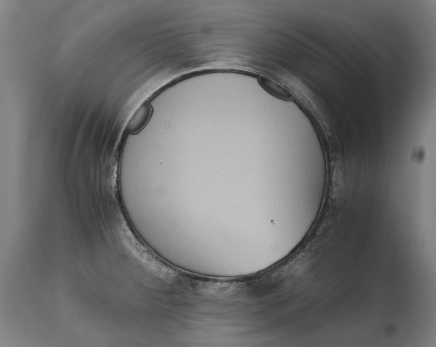 X0000114641284200911101250