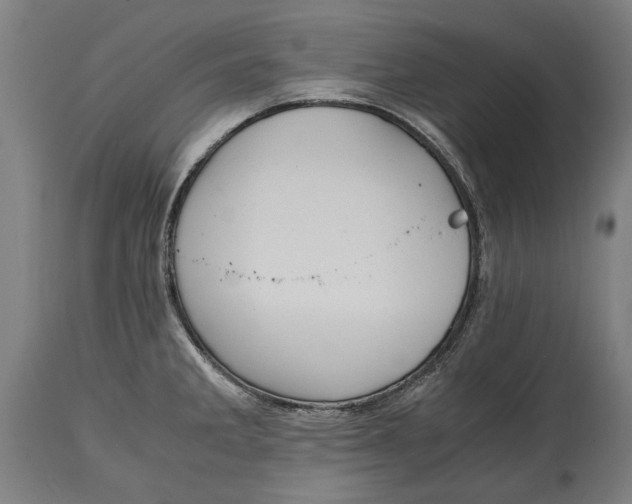 X0000114641285200911101250