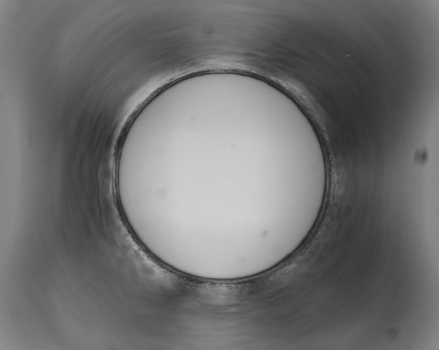 X0000114641286200911101250