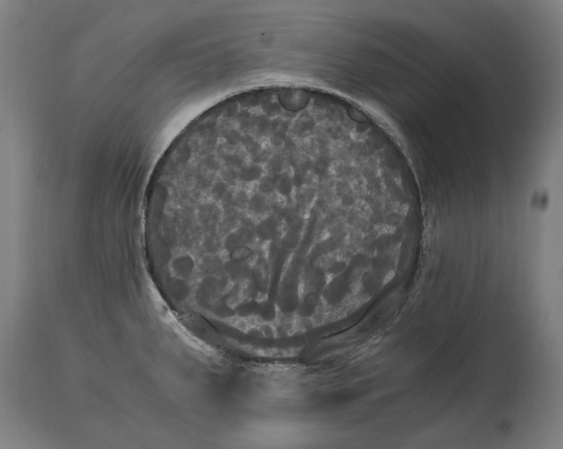 X0000114641287200911101250