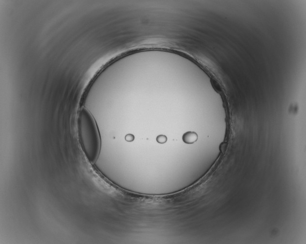 X0000114641288200911101250