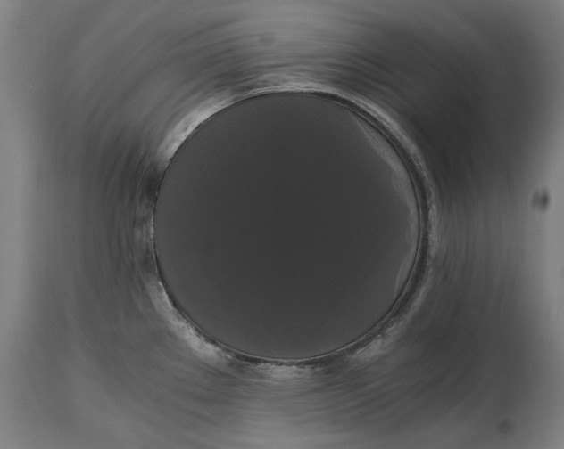 X0000114641289200911101250