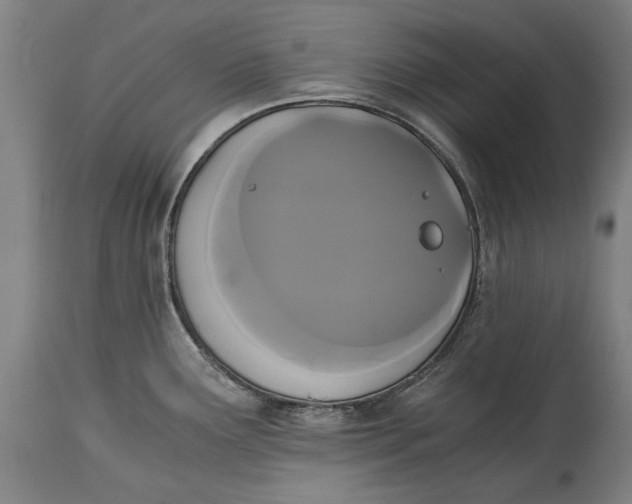 X0000114641291200911101250