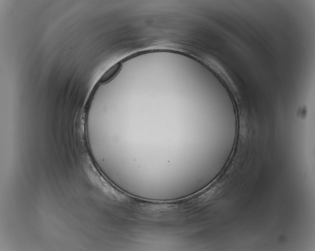 X0000114641292200911101250