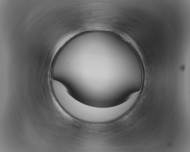 X0000114641293200911101250