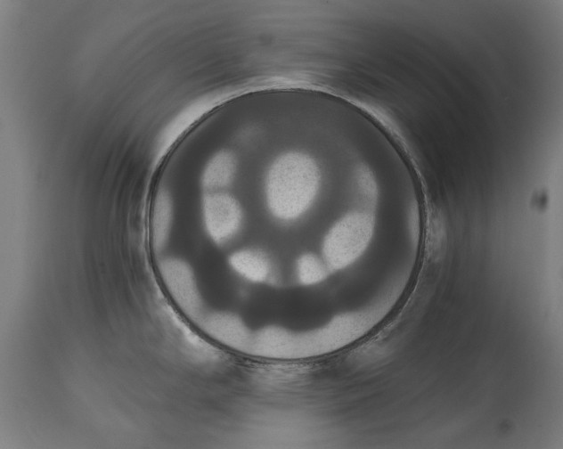 X0000114641294200911101250
