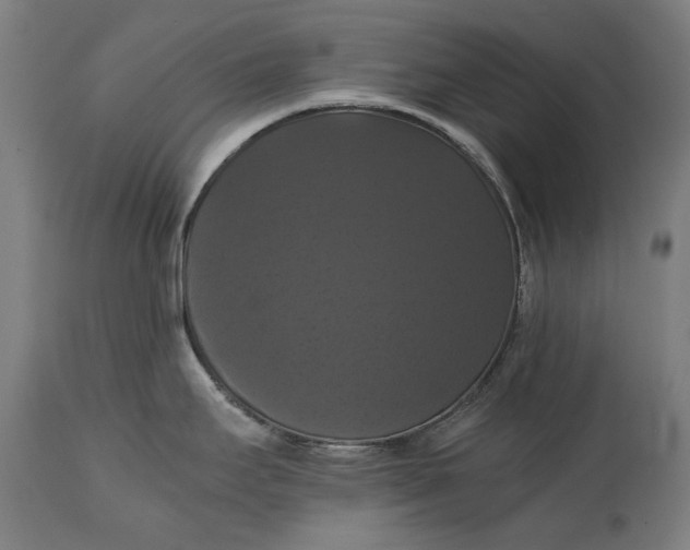X0000114641295200911101250