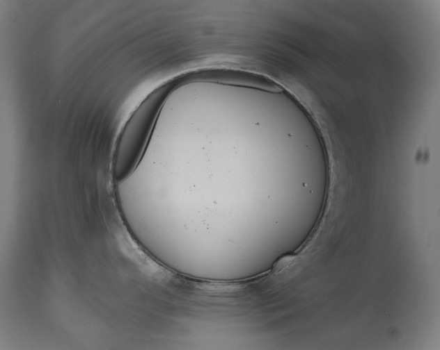X0000114641296200911101250