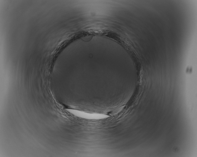 X0000114641297200911101249