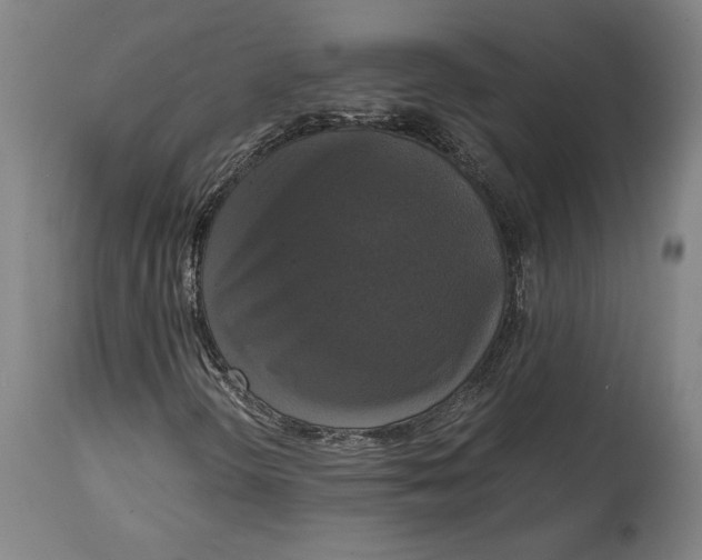 X0000114641298200911101249