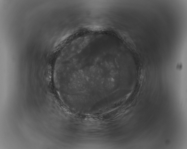 X0000114641301200911101249
