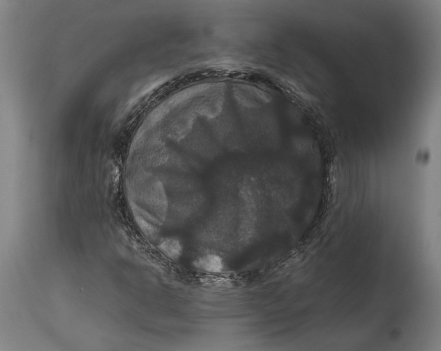 X0000114641302200911101249