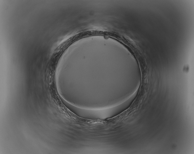 X0000114641303200911101249