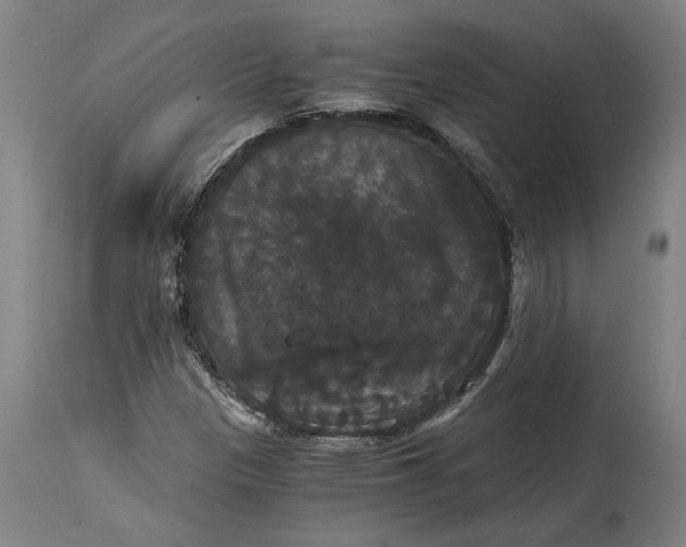 X0000114641305200911101249
