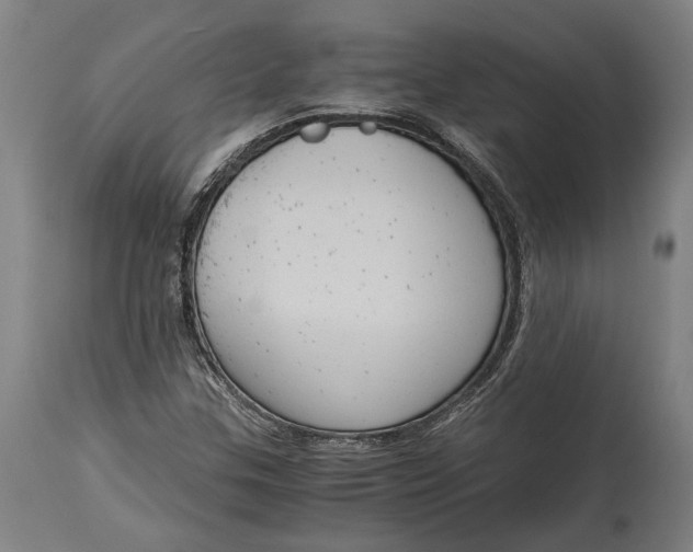 X0000114641307200911101249