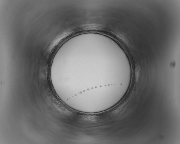 X0000114641309200911101249