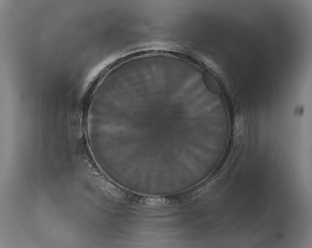 X0000114641310200911101249