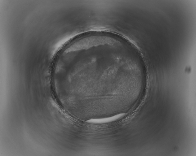 X0000114641311200911101249