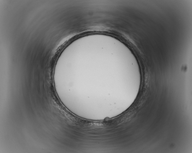 X0000114641315200911101249