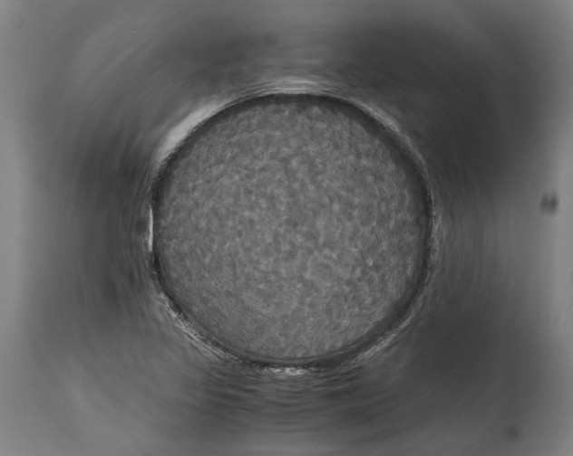 X0000114641317200911101249