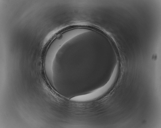 X0000114641319200911101249