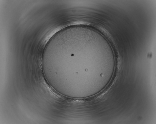 X0000114641321200911101250