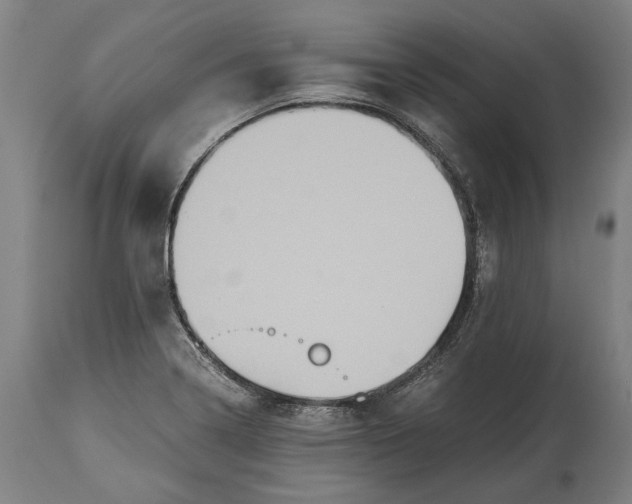 X0000114641322200911101250