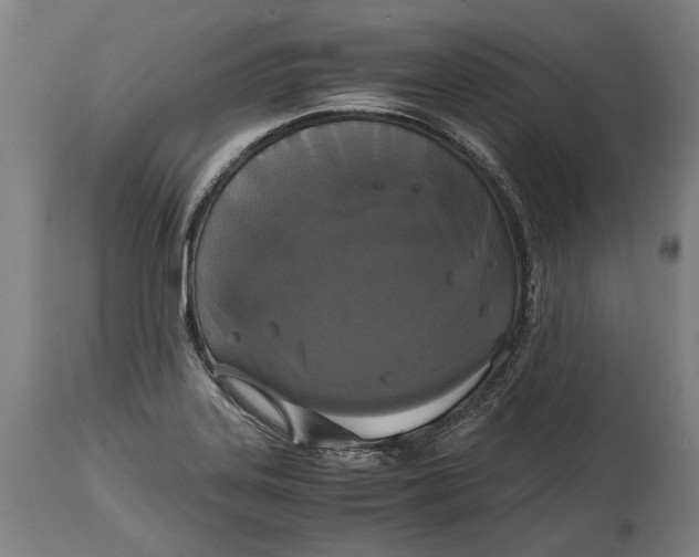 X0000114641323200911101250