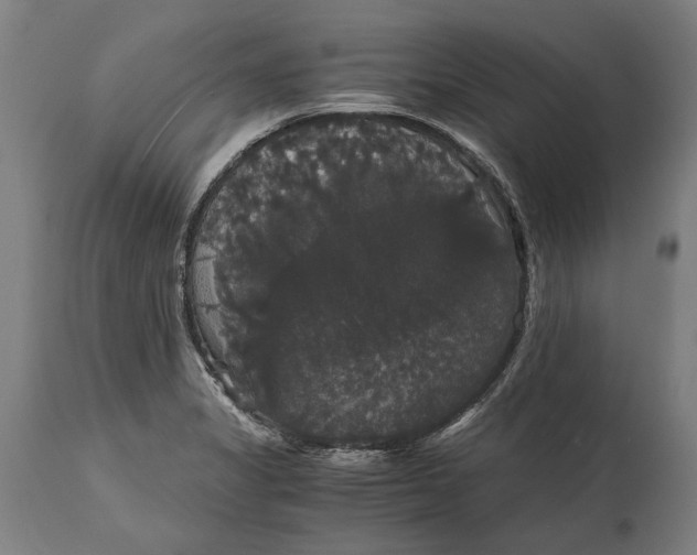 X0000114641325200911101250