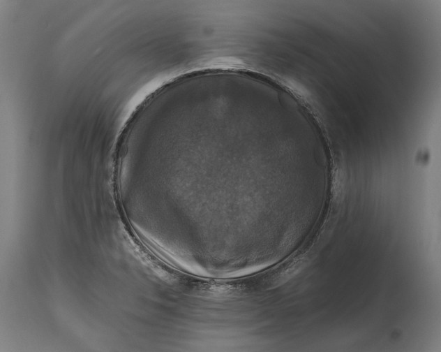 X0000114641326200911101250