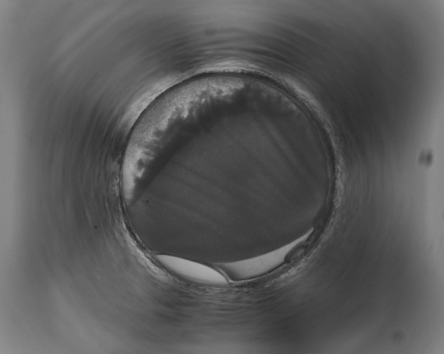 X0000114641329200911101250