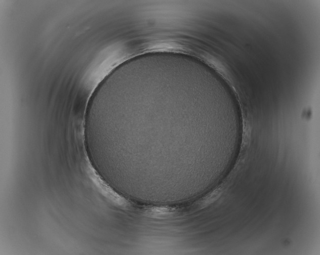 X0000114641330200911101250