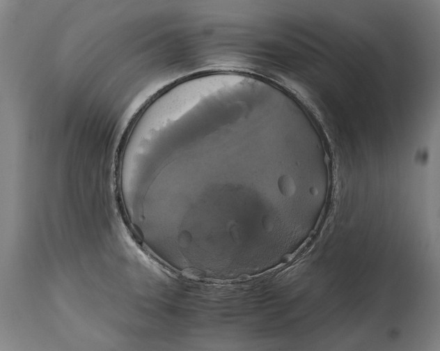 X0000114641331200911101250