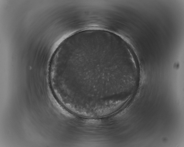 X0000114641333200911101250