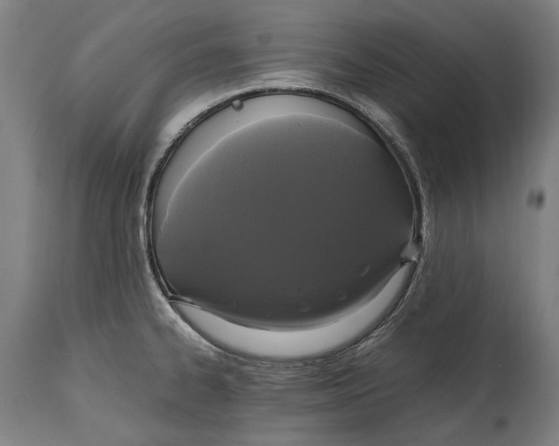 X0000114641334200911101250